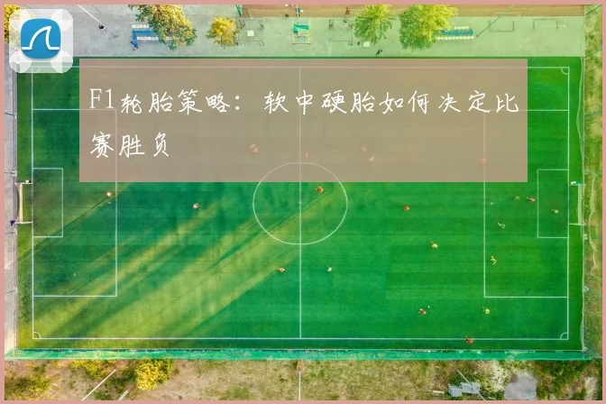 F1轮胎策略：软中硬胎如何决定比赛胜负