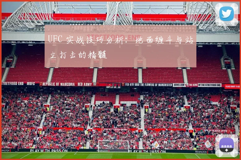 UFC 实战技巧分析：地面缠斗与站立打击的精髓