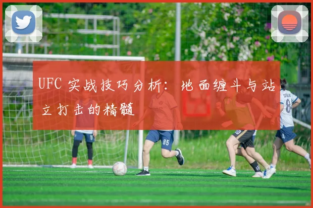 UFC 实战技巧分析：地面缠斗与站立打击的精髓